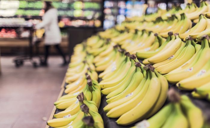 Fresh Del Monte Aims to Sell Fairtrade Certified Organic Bananas in the  U.S.