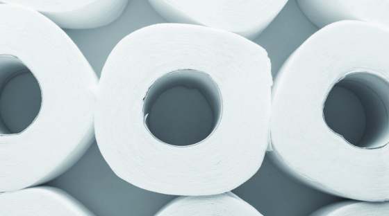 Photo: rolls of toilet paper