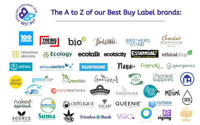 Logos of the Best Buy Label holder brands