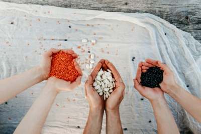 Three sets of hands holding differents beans