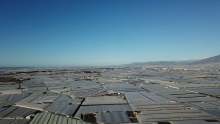 Landscape view of Almeria covered by greenhouses and polytunnels