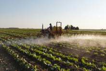 Tractor in field spraying crops with chemicals