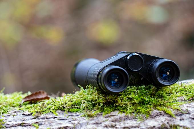 Binoculars on tree trunk with moss