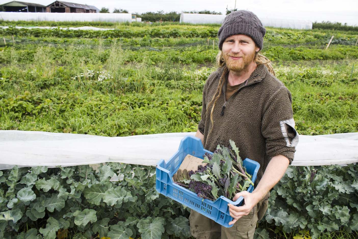 Surge in demand for veg boxes since pandemic | Ethical Consumer