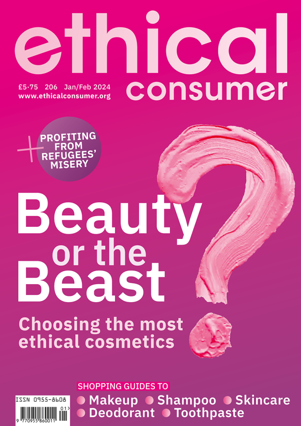 Cover image of Issue 206