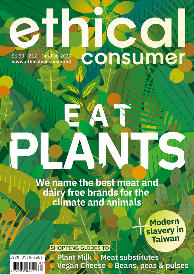 Cover of Ethical Consumer magazine, Issue 212