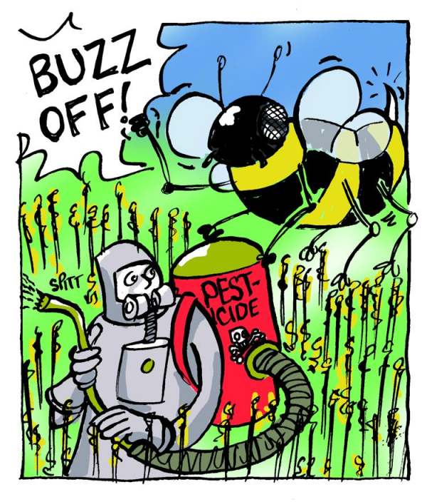 Image: bee chasing pesticide spray he says buzz off!