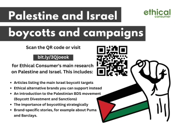 Flyer about Palestine and boycotts - larger version available to download